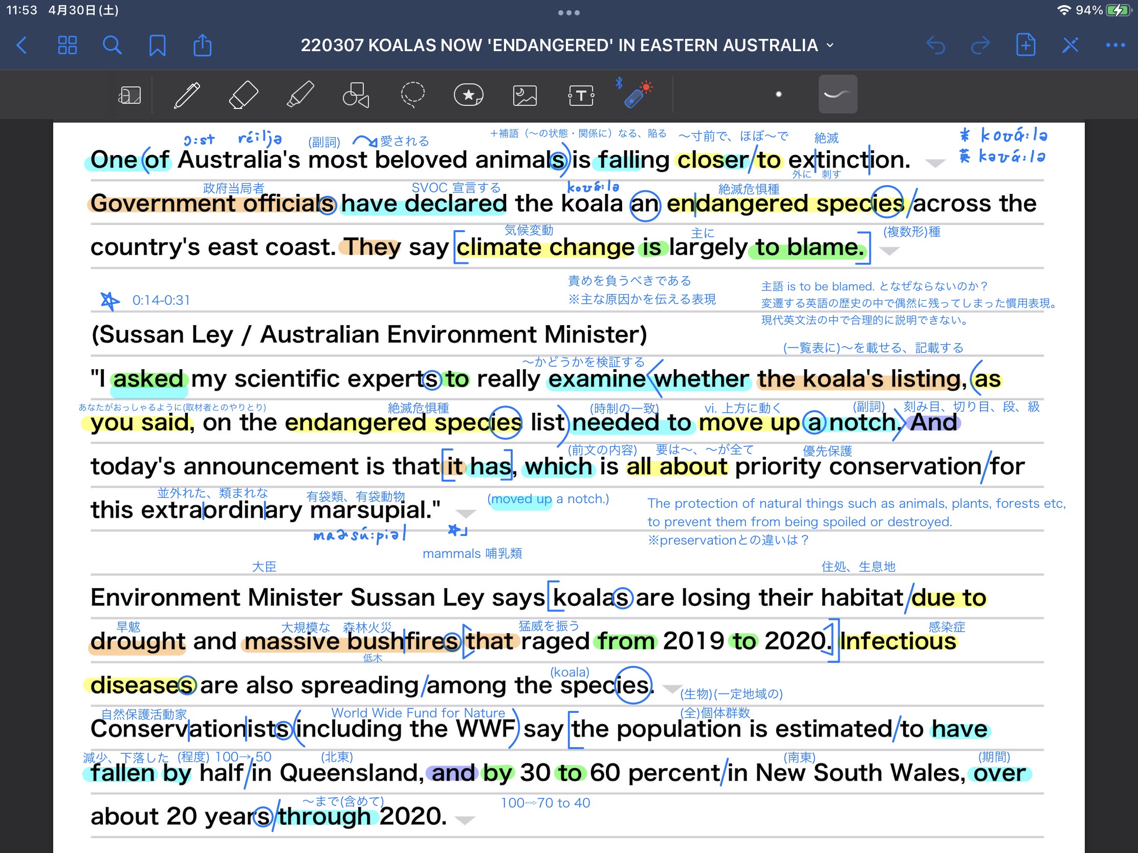 豪政府 コアラを“絶滅危惧種”に指定　KOALAS NOW ‘ENDANGERED’ IN EASTERN AUSTRALIA